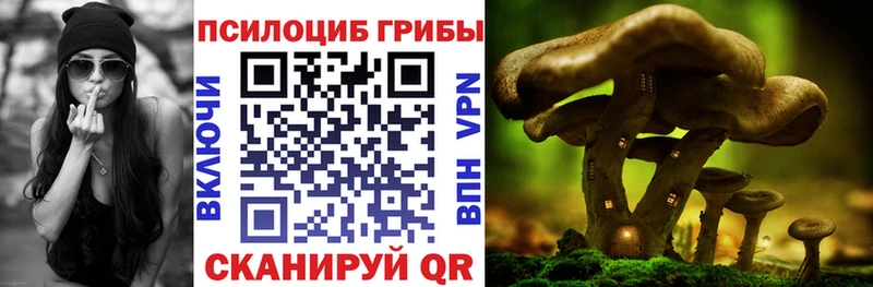 Псилоцибиновые грибы MAGIC MUSHROOMS  KRAKEN рабочий сайт  Полесск 